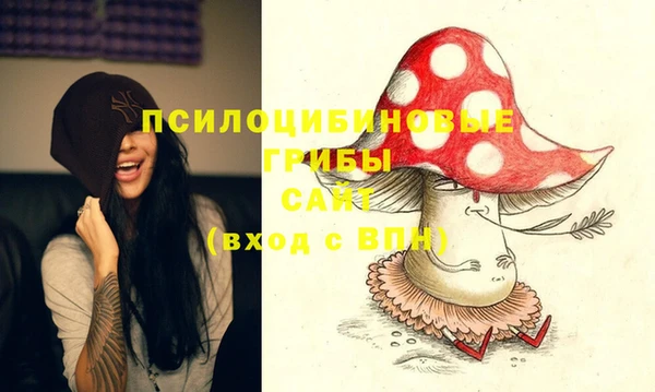 прущий лед Горняк
