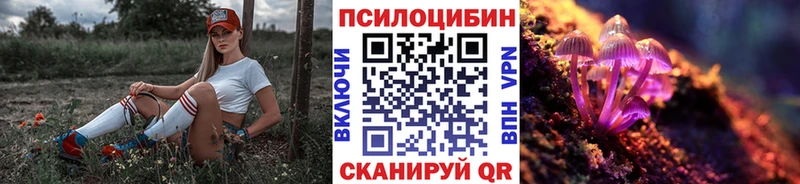 Галлюциногенные грибы Psilocybine cubensis  mega   Саранск  купить  цена 